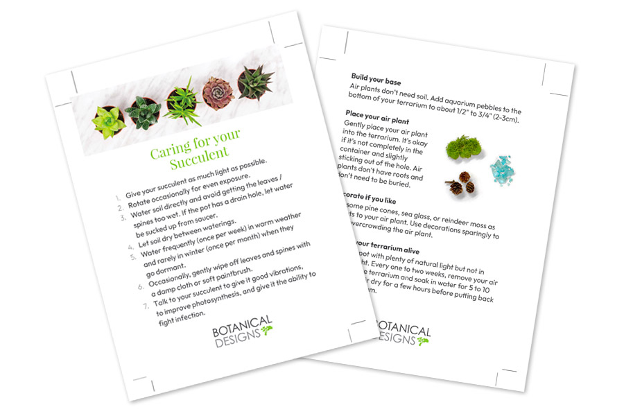 Botanical Designs Earth Day