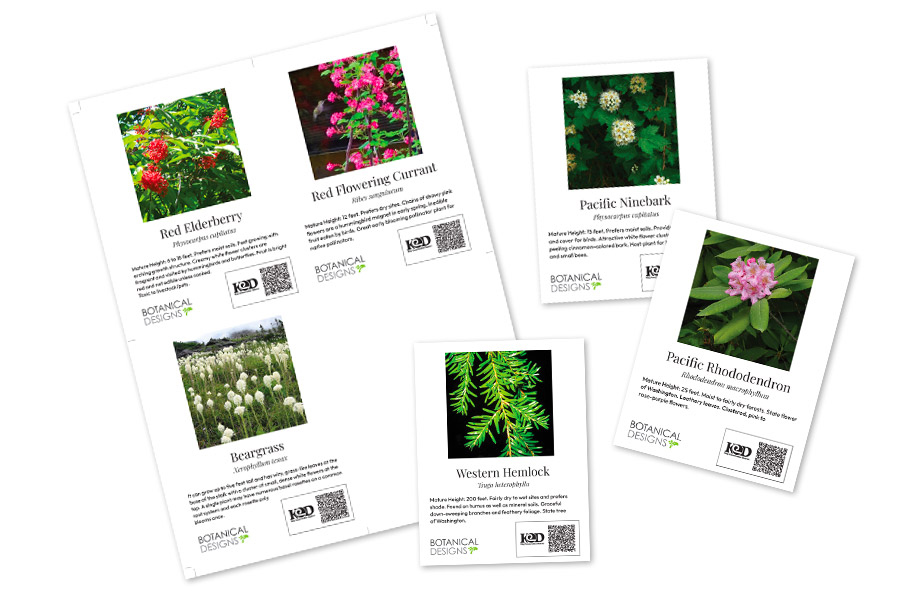 Botanical Designs Earth Day