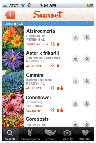 Sunset search results page